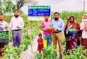 ক্যাপসিকাম চাষে সফলতা অর্জন করেছেন আব্দুর রউফ